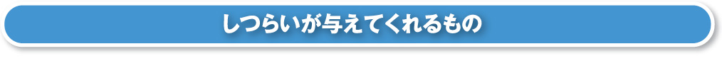 しつらいが与えてくれるもの