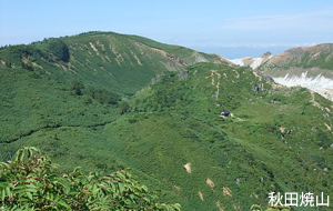 秋田焼山