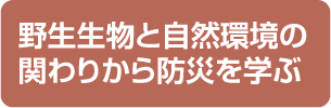 野生生物と自然環境の関わりから防災を学ぶ