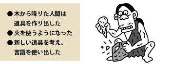 ●木から降りた人間は道具を作り出した ●火を使うようになった ●新しい道具を考え、言語を使い出した